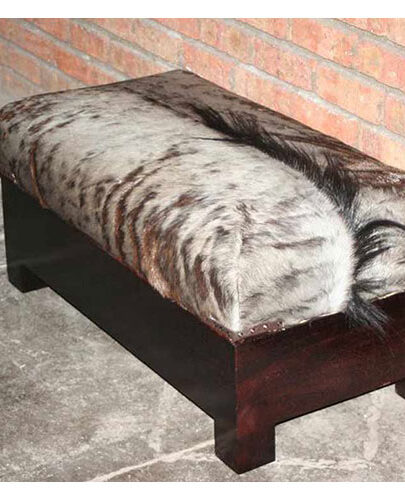 cwa-product-trendy-couch-2