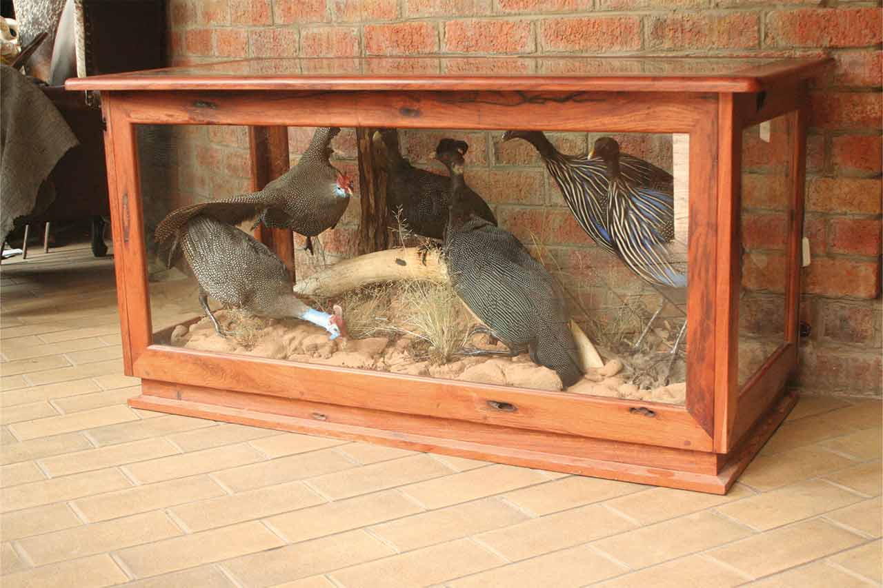 Guinea-Fowl-Collection-Coffee-Table-1