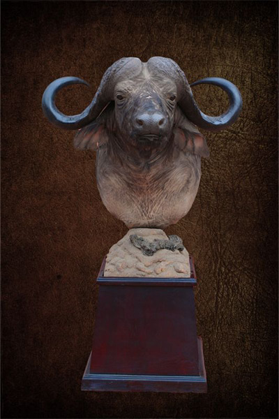 buffalo-pedestal-3-sa