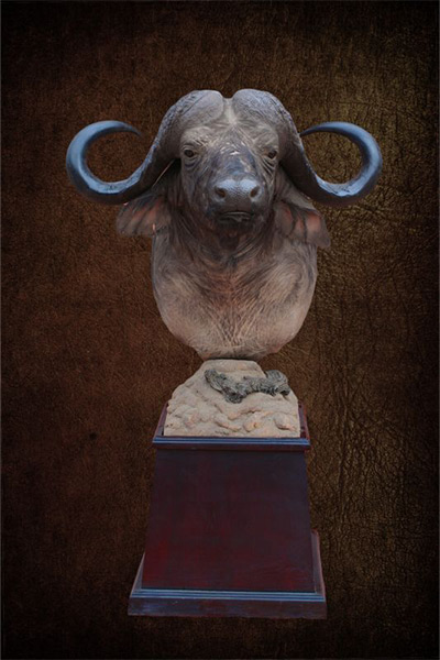 buffalo custom pedestal-3 South Africa