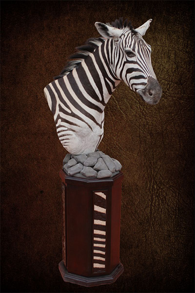 zebra-natural-pedestal-sa