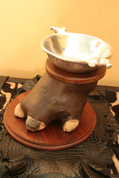 hippo-feet-bowl-holder