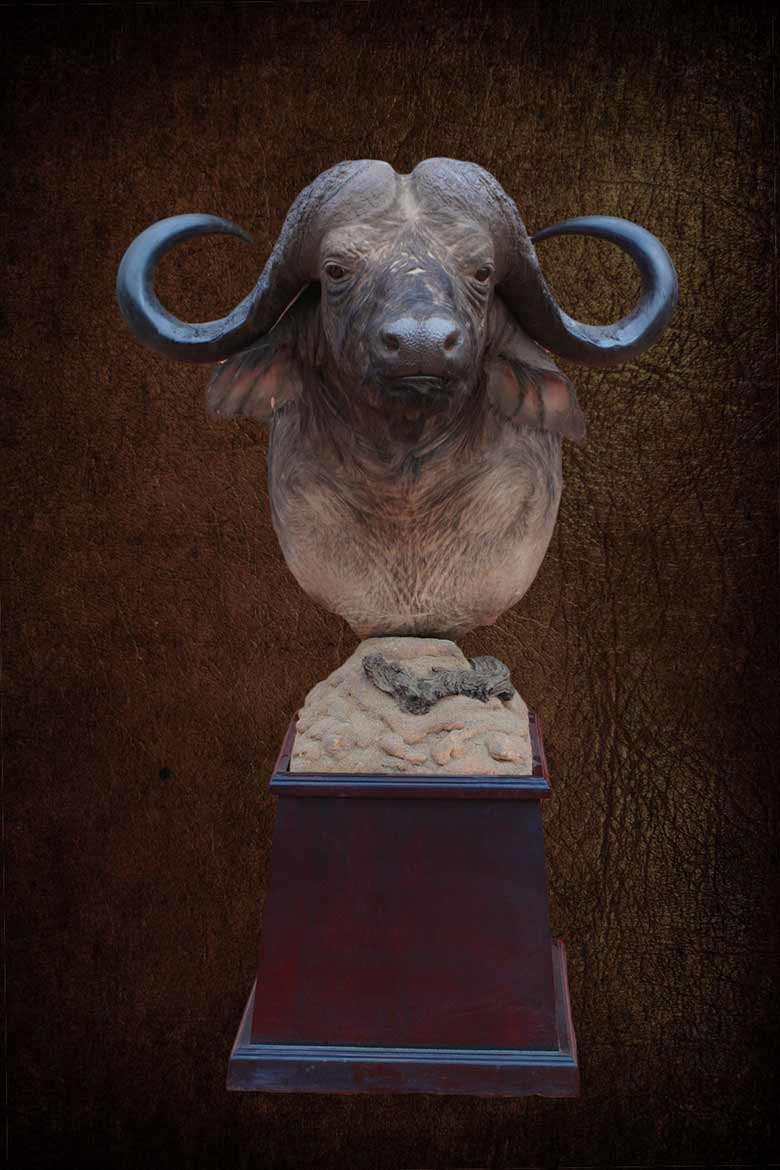 Buffalo Shoulder Pedestal