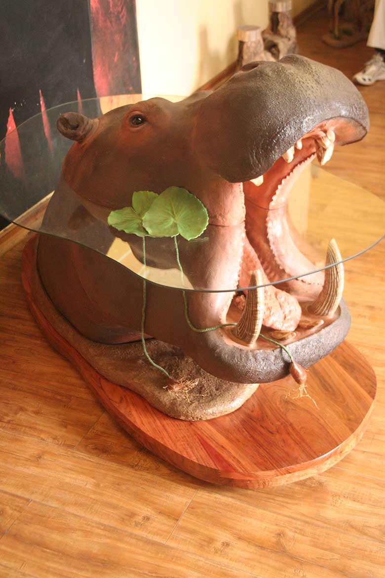 Hippo Out Water Coffee Table