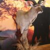 Kudu Pedestal On Log Post gallery 1