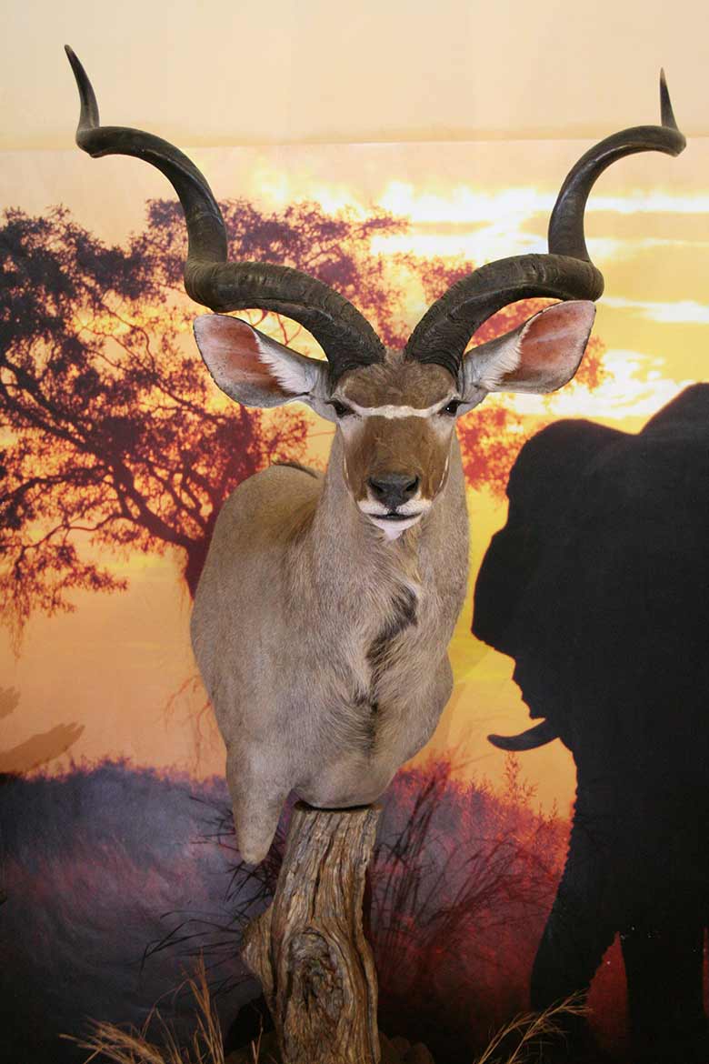 Kudu Pedestal On Log Post main image