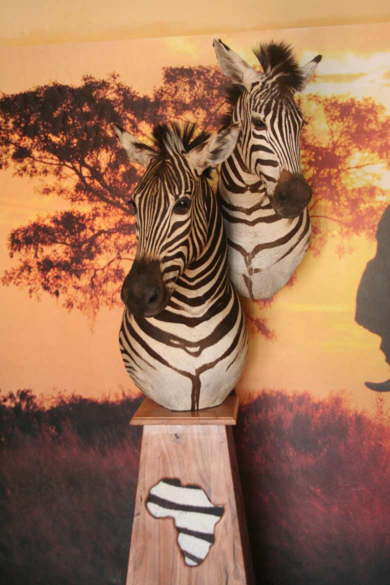 Zebra Double Pedestal